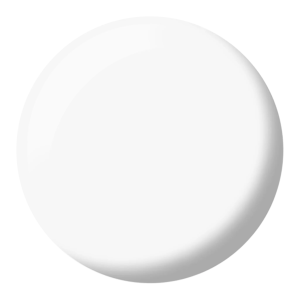 Snow Flake #448