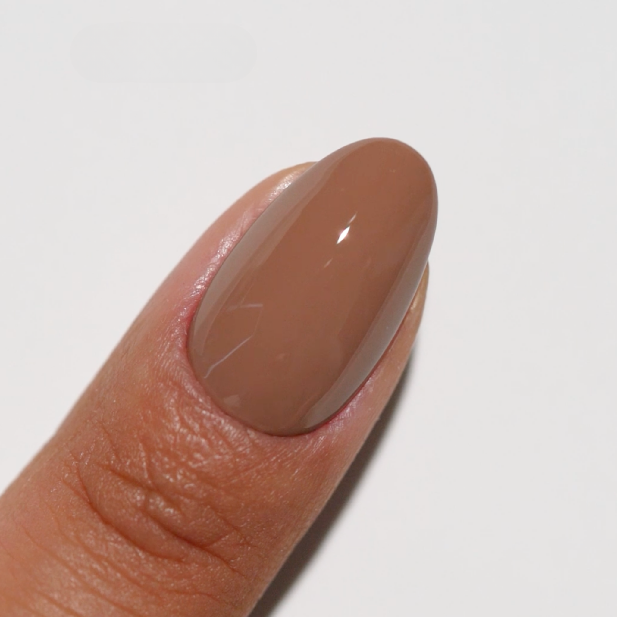 Almond Toffee DIVA #267 - Image 3