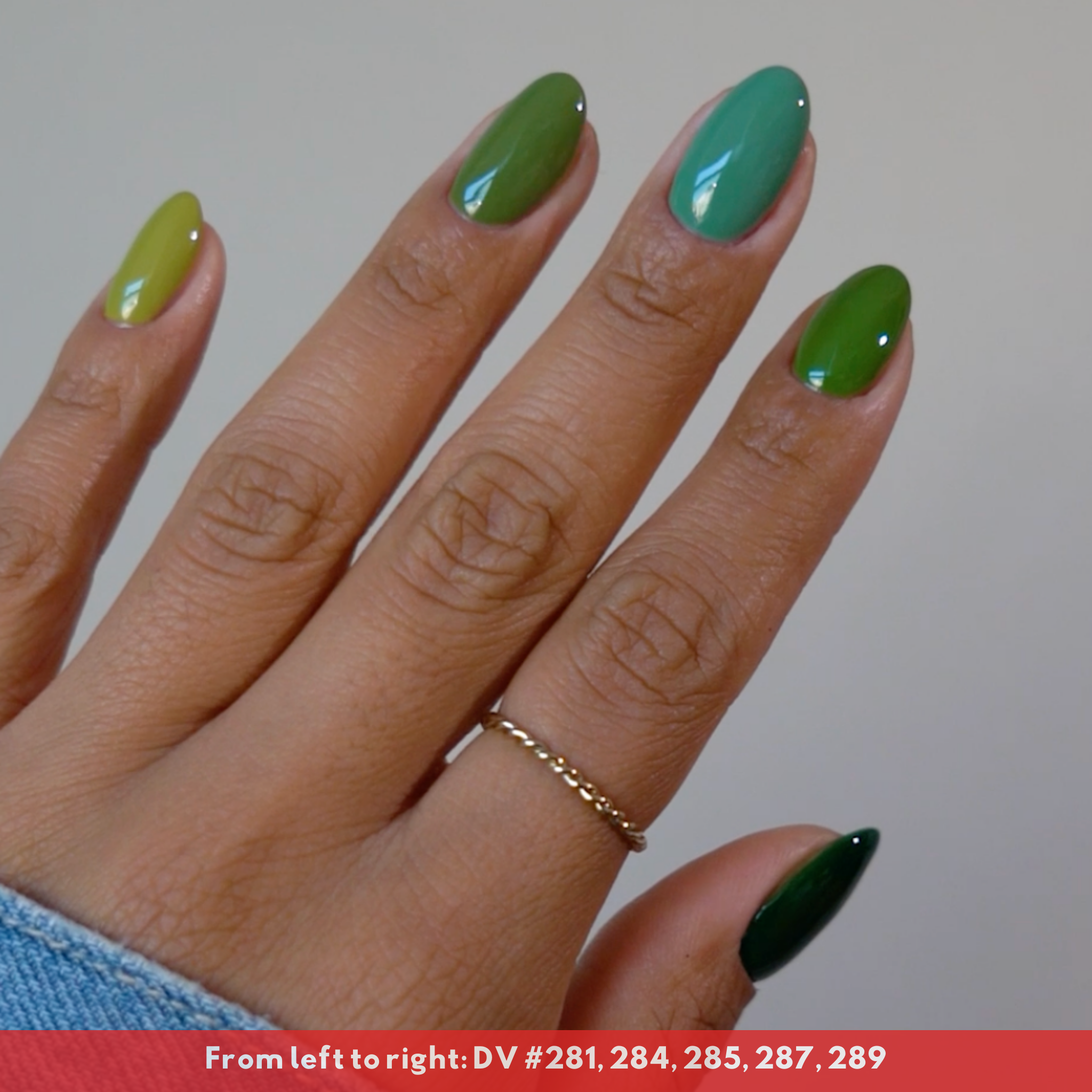 DIVA Happy Trails Collection - 36 Set - Image 11